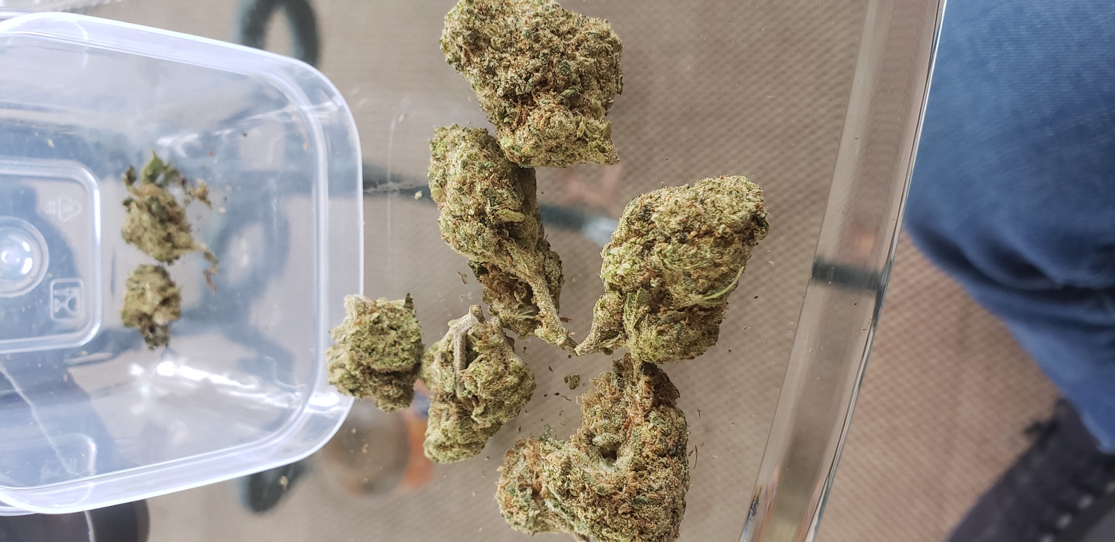 Space Candy Marijuana Strain Information & Reviews AllBud