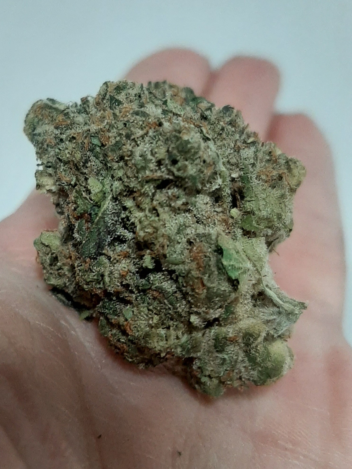 Space Dust Marijuana Strain Information & Reviews | AllBud