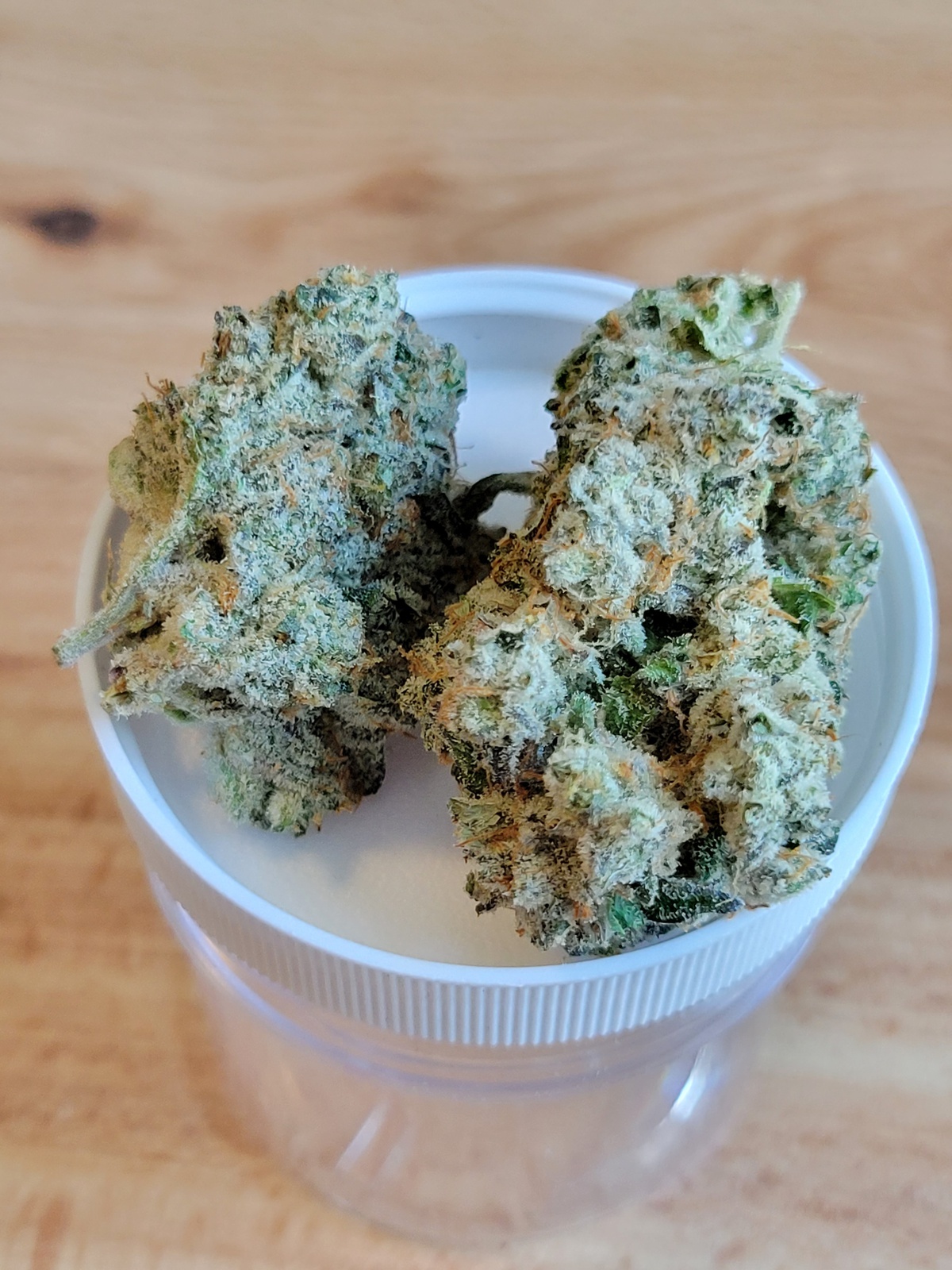 Space Jam Marijuana Strain Information & Reviews AllBud