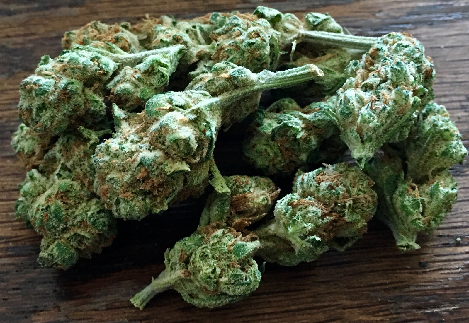 Spicy Disco Marijuana Strain Information & Reviews AllBud