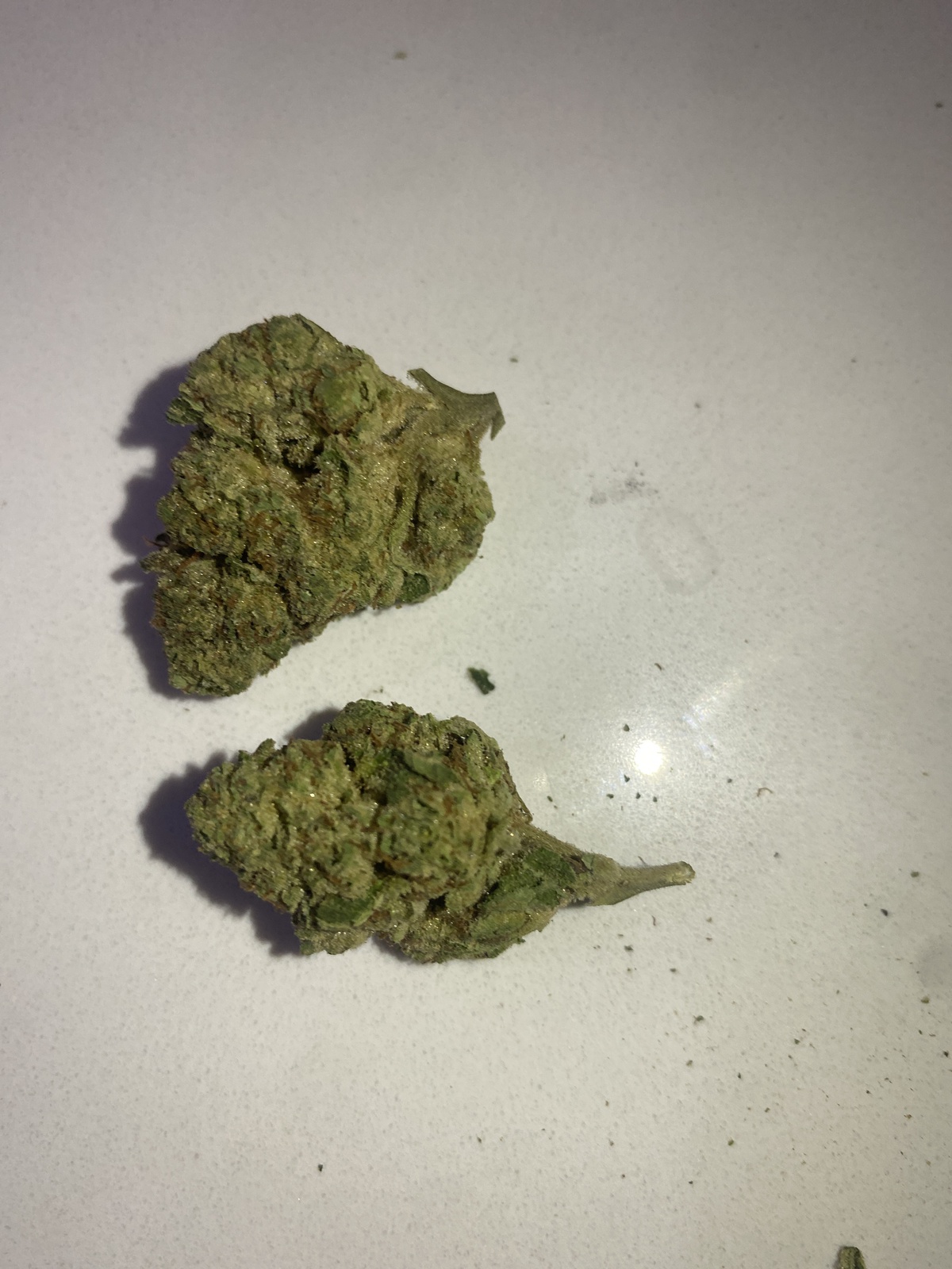 Sprinklez Marijuana Strain Information & Reviews AllBud