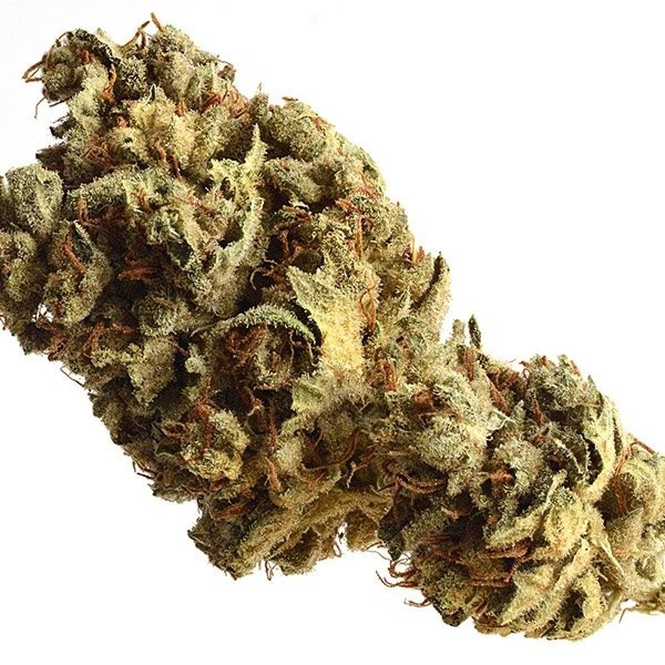 Starship Marijuana Strain Information & Reviews AllBud