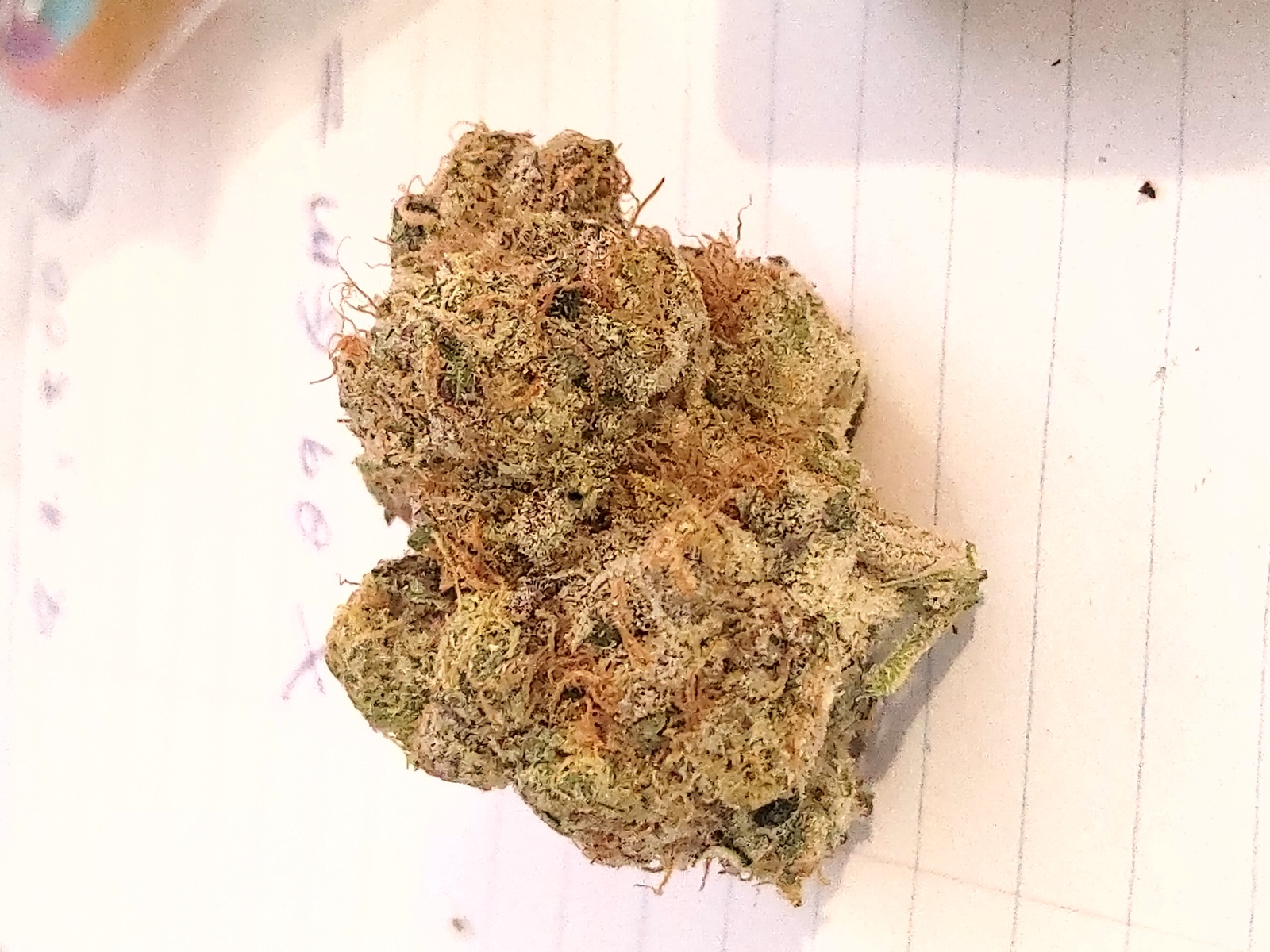Steel Bridge Marijuana Strain Information & Reviews AllBud