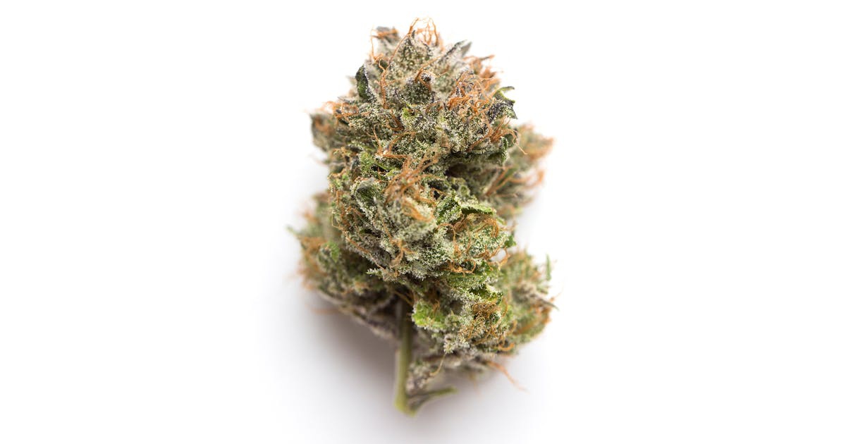 Stink Bomb Marijuana Strain Information & Reviews AllBud