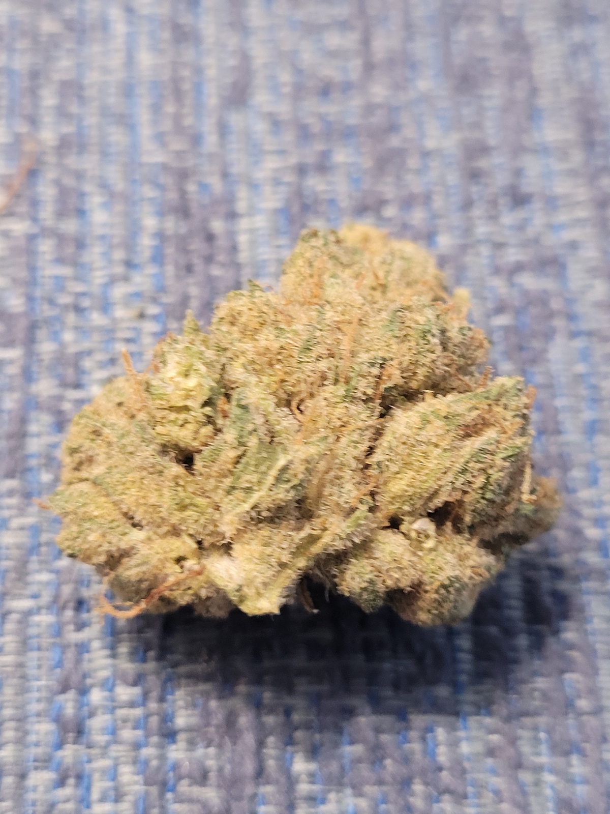Stoney Point Marijuana Strain Information & Reviews | AllBud