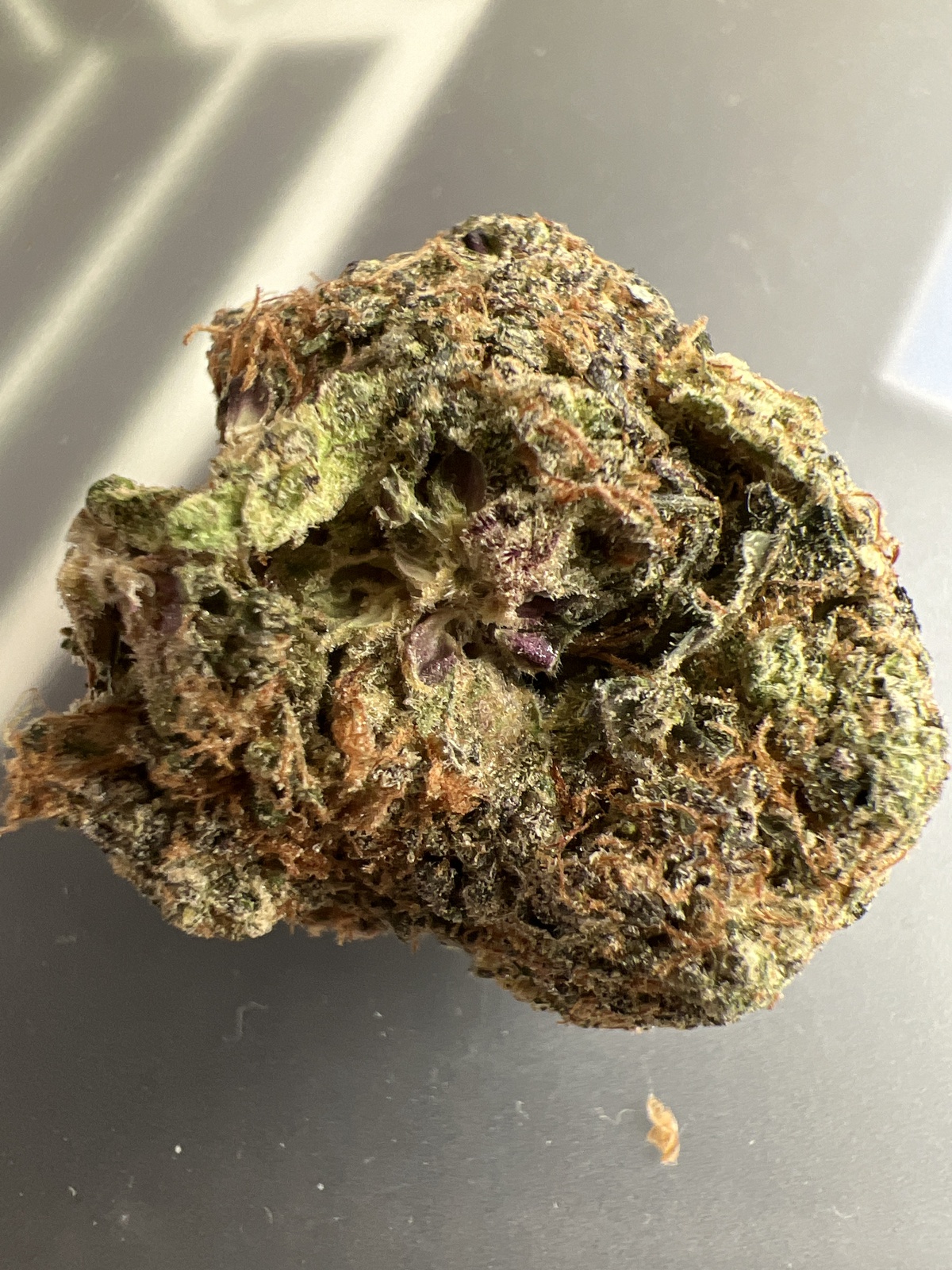Yellow Cake Strain Allbud - gz7fbrc