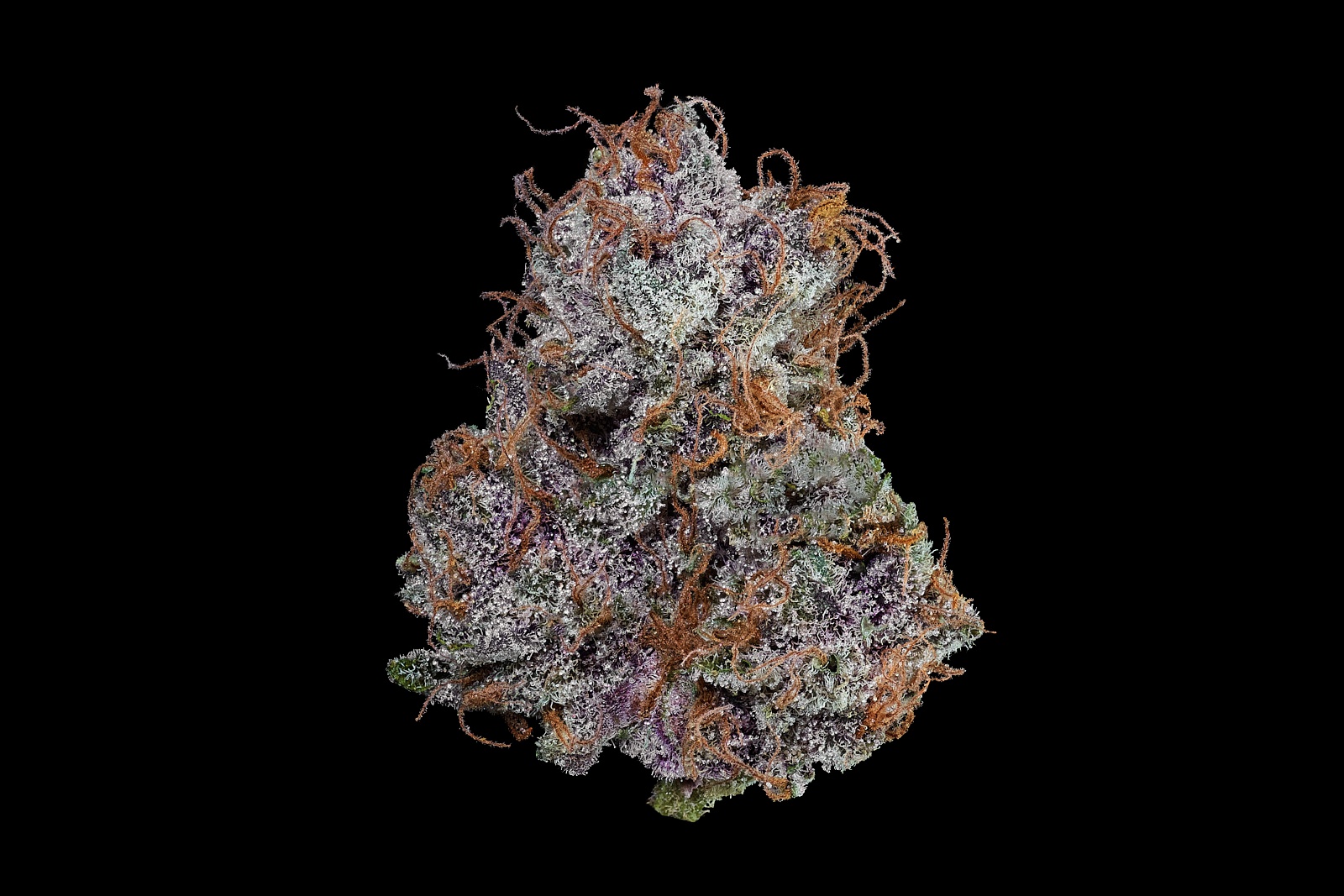 Strawberry Diesel Cookies Marijuana Strain Information & Reviews AllBud