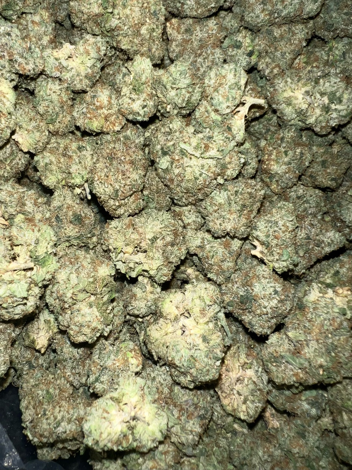 Yellow Cake Strain Allbud - 7kvzcj7