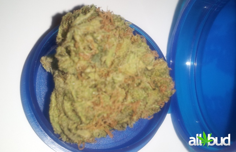 Sugar Cookie Marijuana Strain Reviews AllBud