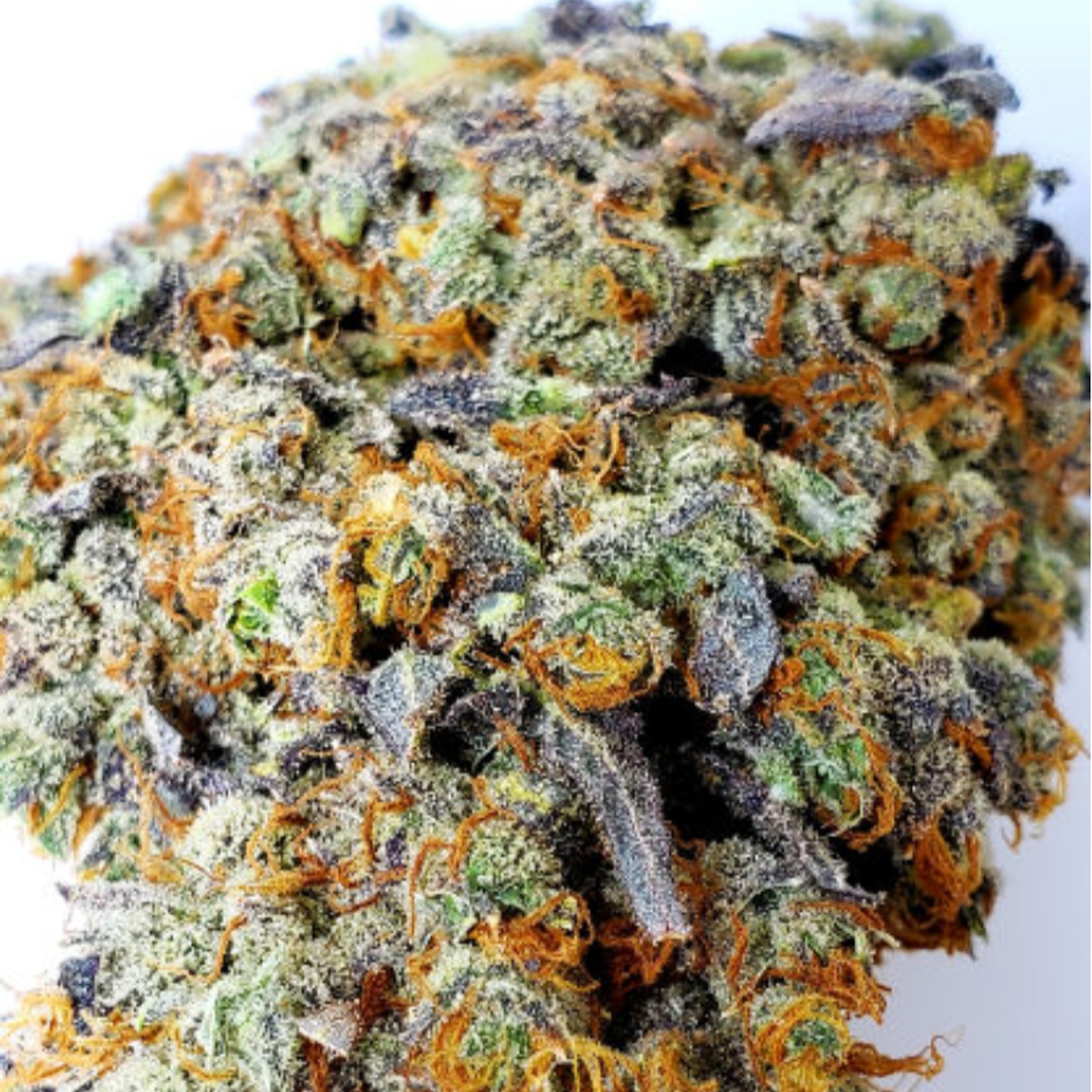 Sugar Daddy Marijuana Strain Information & Reviews AllBud