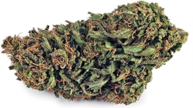 Sugar Pine Marijuana Strain Information & Reviews | AllBud