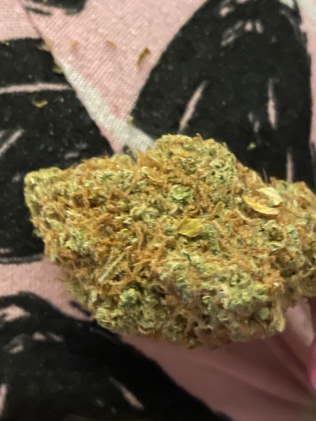 Super Lemon OG Marijuana Strain Information & Reviews AllBud