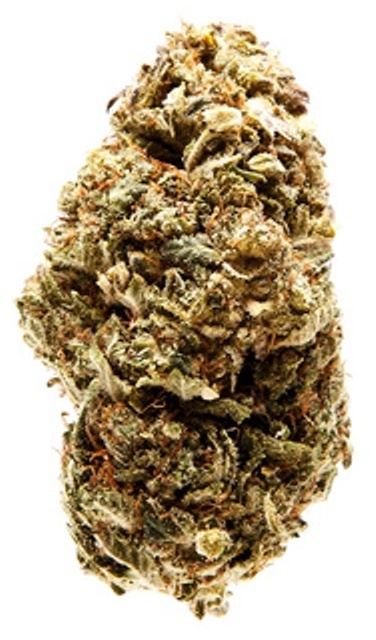 Suzy Q flower, as labeled by the cited image source