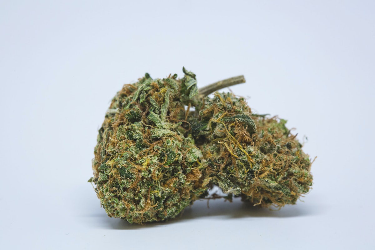 Sweet Tea Marijuana Strain Information & Reviews AllBud