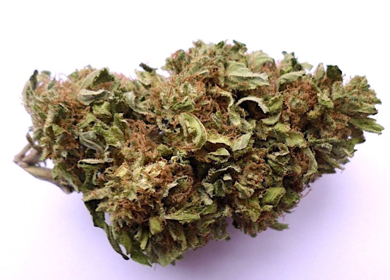 Tahoe Cheese Marijuana Strain Information & Reviews AllBud