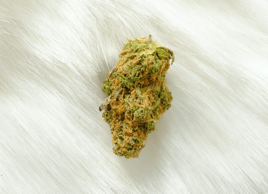 Tangerine Cream Marijuana Strain Information & Reviews AllBud