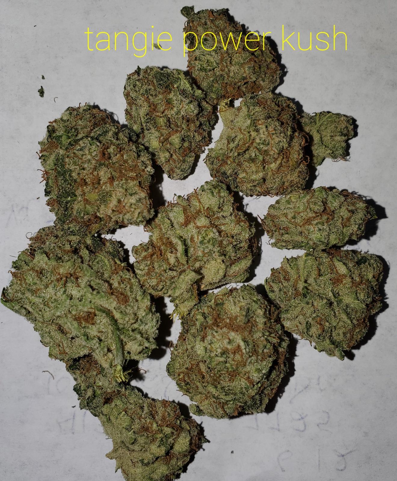 TANGERINE POWER KUSH Marijuana Strain Information & Reviews AllBud