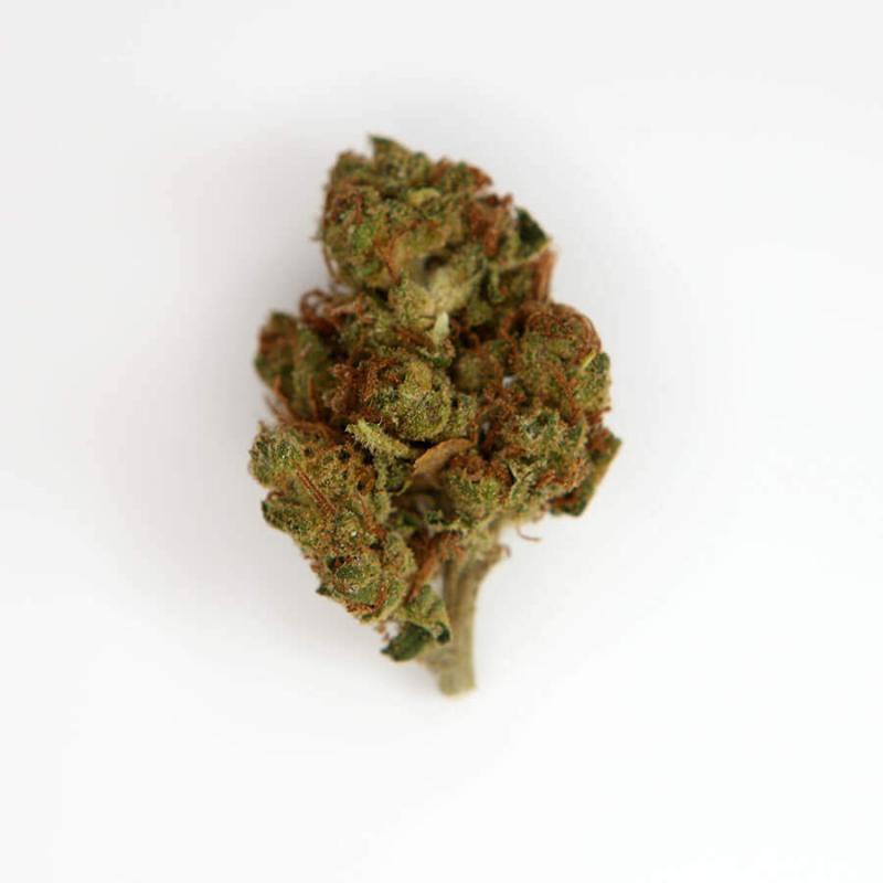 バクバクファクトリーページ　Tangie Tangie Strain | THCa Flower | Mood