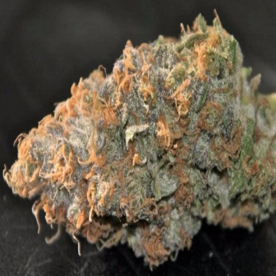 Thai Skunk Marijuana Strain Information & Reviews | AllBud