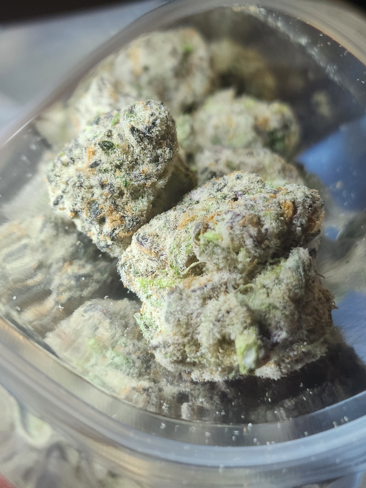 Is Blood Honey Strain The Future Of Cannabis? - a7azcr2