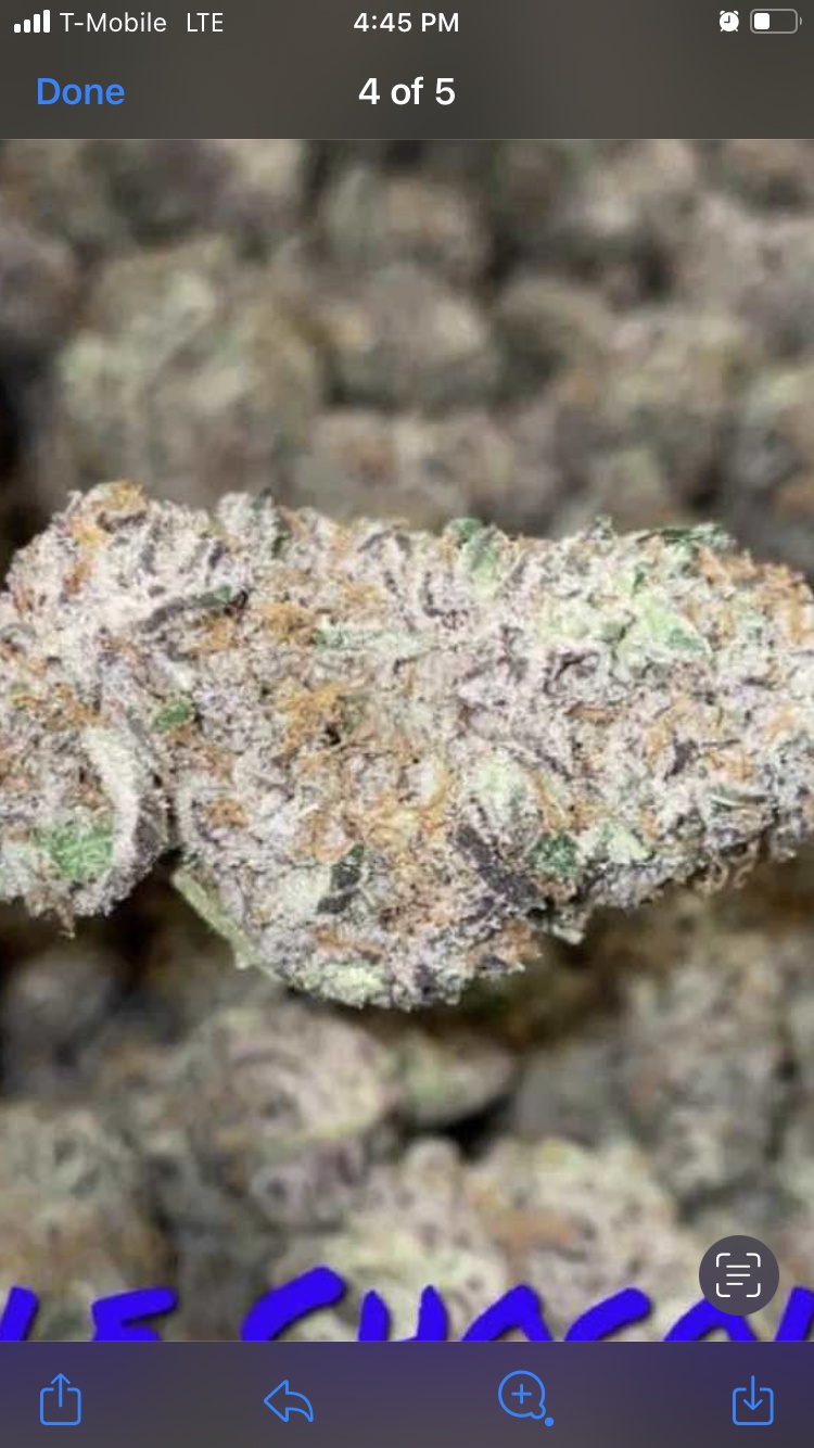 Triple Chocolate Chip Marijuana Strain Information & Reviews AllBud