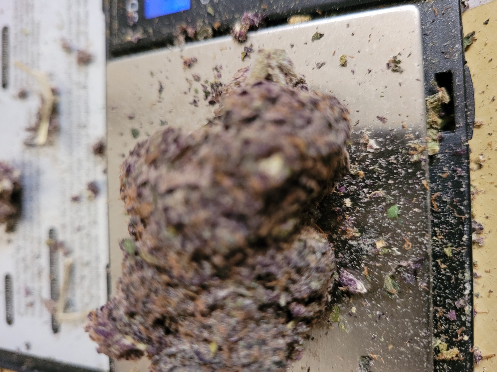 Tropic Truffle Marijuana Strain Information & Reviews AllBud
