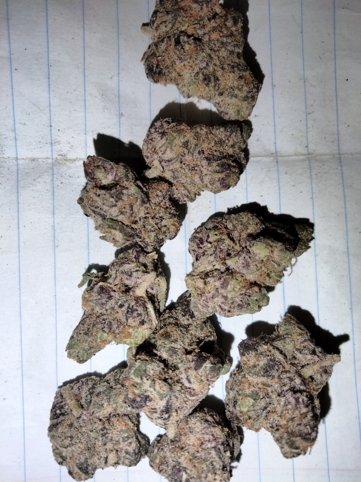 Tropical Runtz Strain Allbud - rrr3o8z