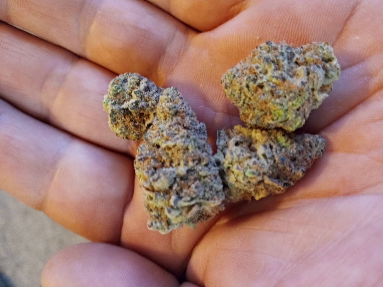 Tropical Punch Marijuana Strain Information & Reviews | AllBud