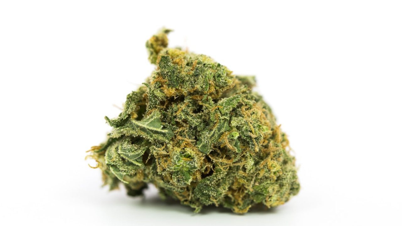 The Ultimate Nerds Marijuana Strain Information & Reviews AllBud