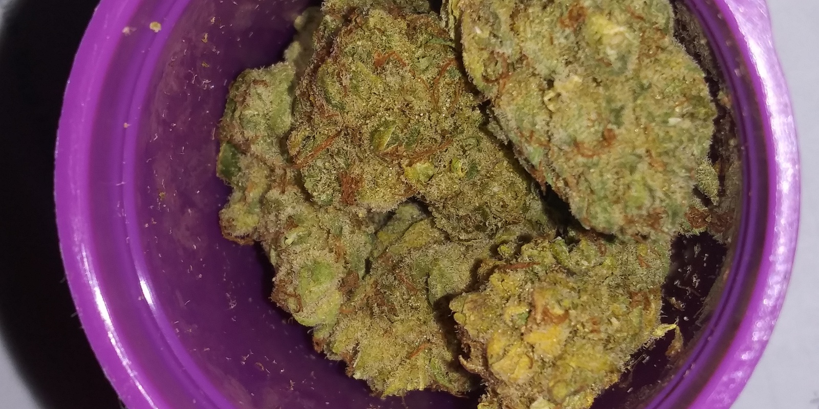 Underdog OG archive 1