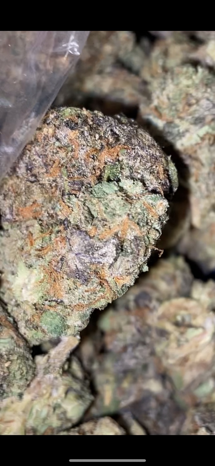 Ursa Major Marijuana Strain Information & Reviews AllBud