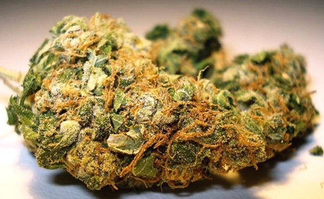 Utopia Haze archive 1