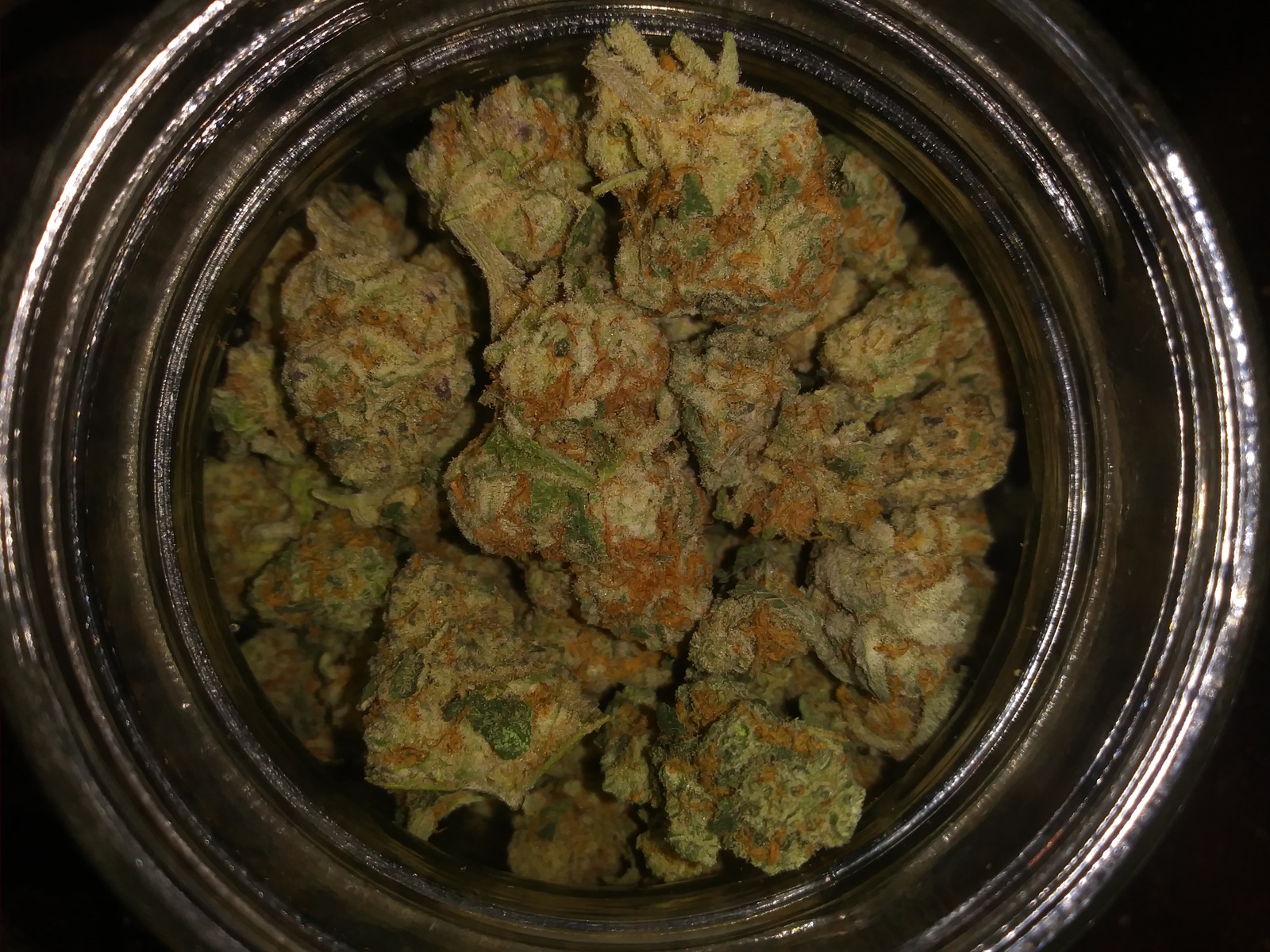 Viper City OG archive 1