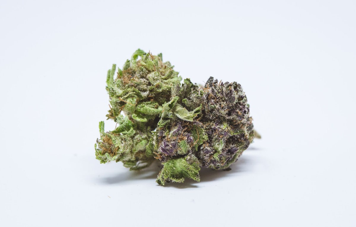 Viper Haze Marijuana Strain Information & Reviews AllBud