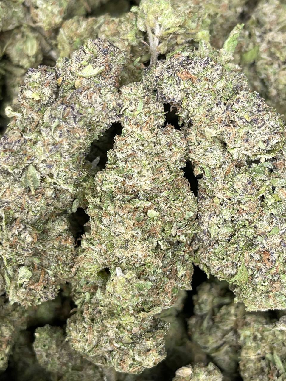 Watermelon Gushers Marijuana Strain Information & Reviews AllBud