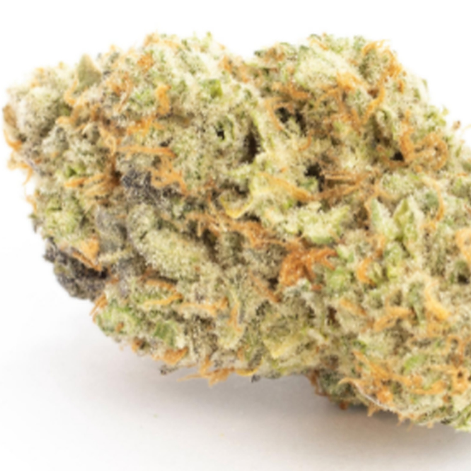 Watermelon Zonkers Strain - y8y78ln