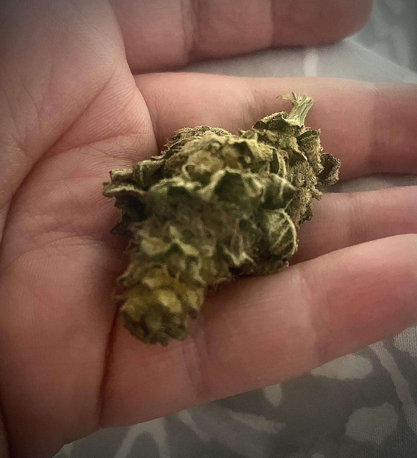 Wedding Sunset Marijuana Strain Information & Reviews AllBud