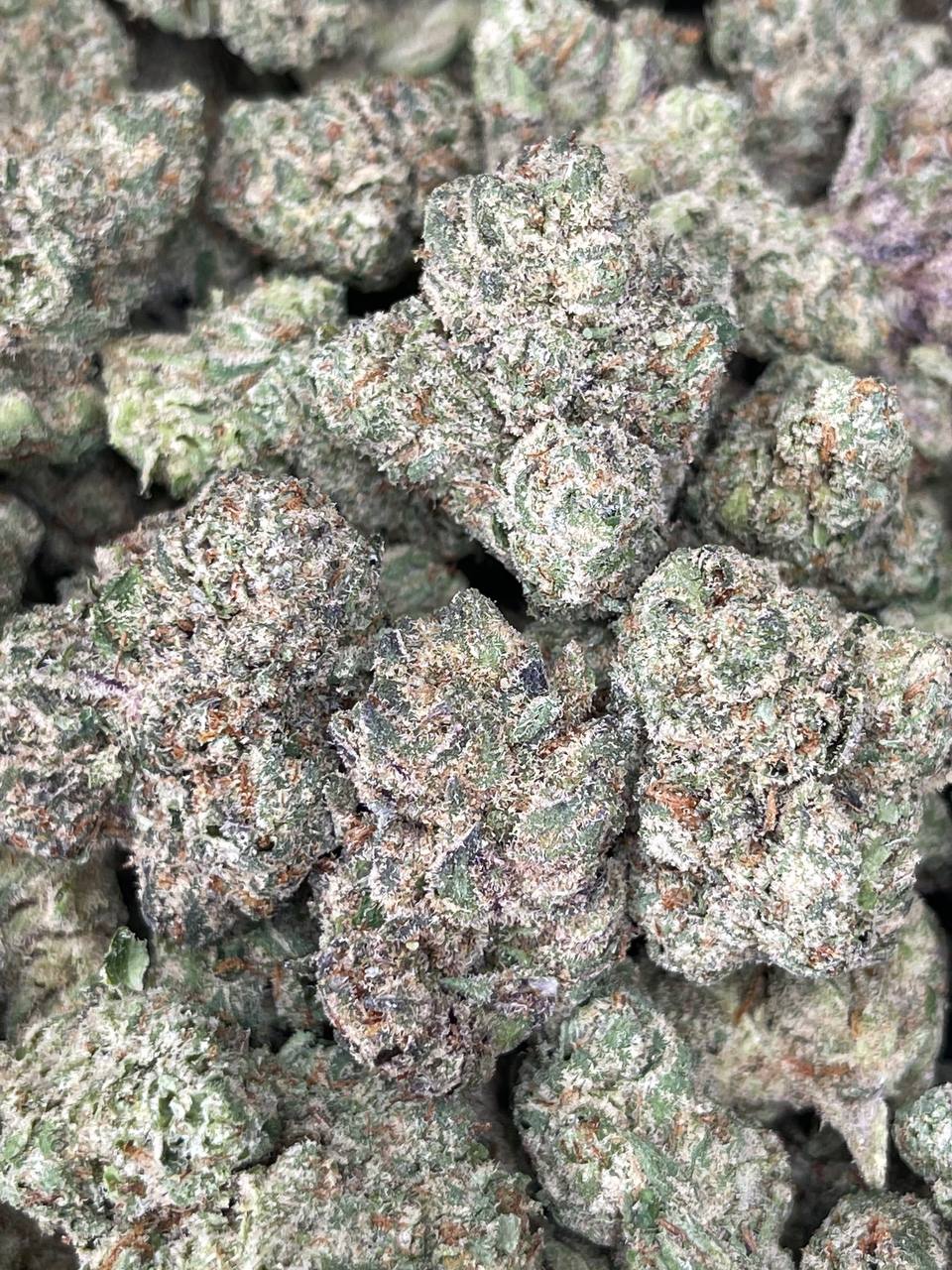 White Biscotti Marijuana Strain Information & Reviews AllBud