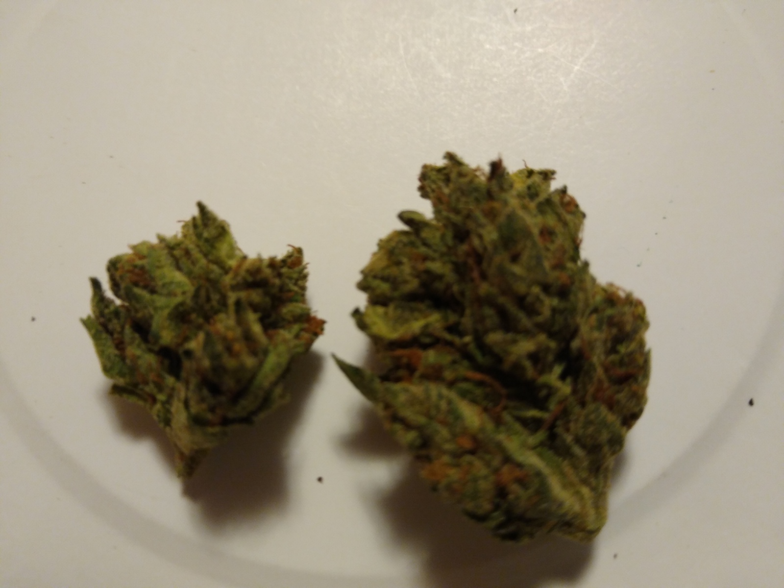 White Caramel Cookie Marijuana Strain Information & Reviews AllBud