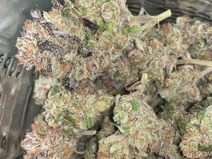 White Grapefruit Cookies Marijuana Strain Information & Reviews AllBud