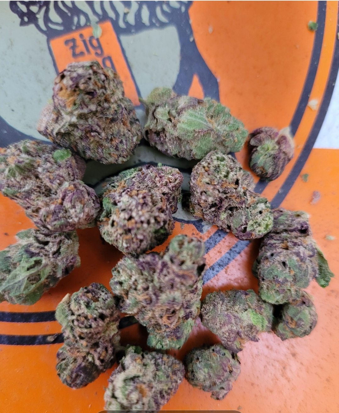 Searching for seeds or flower Off Topic I Love Growing Marijuana Forum