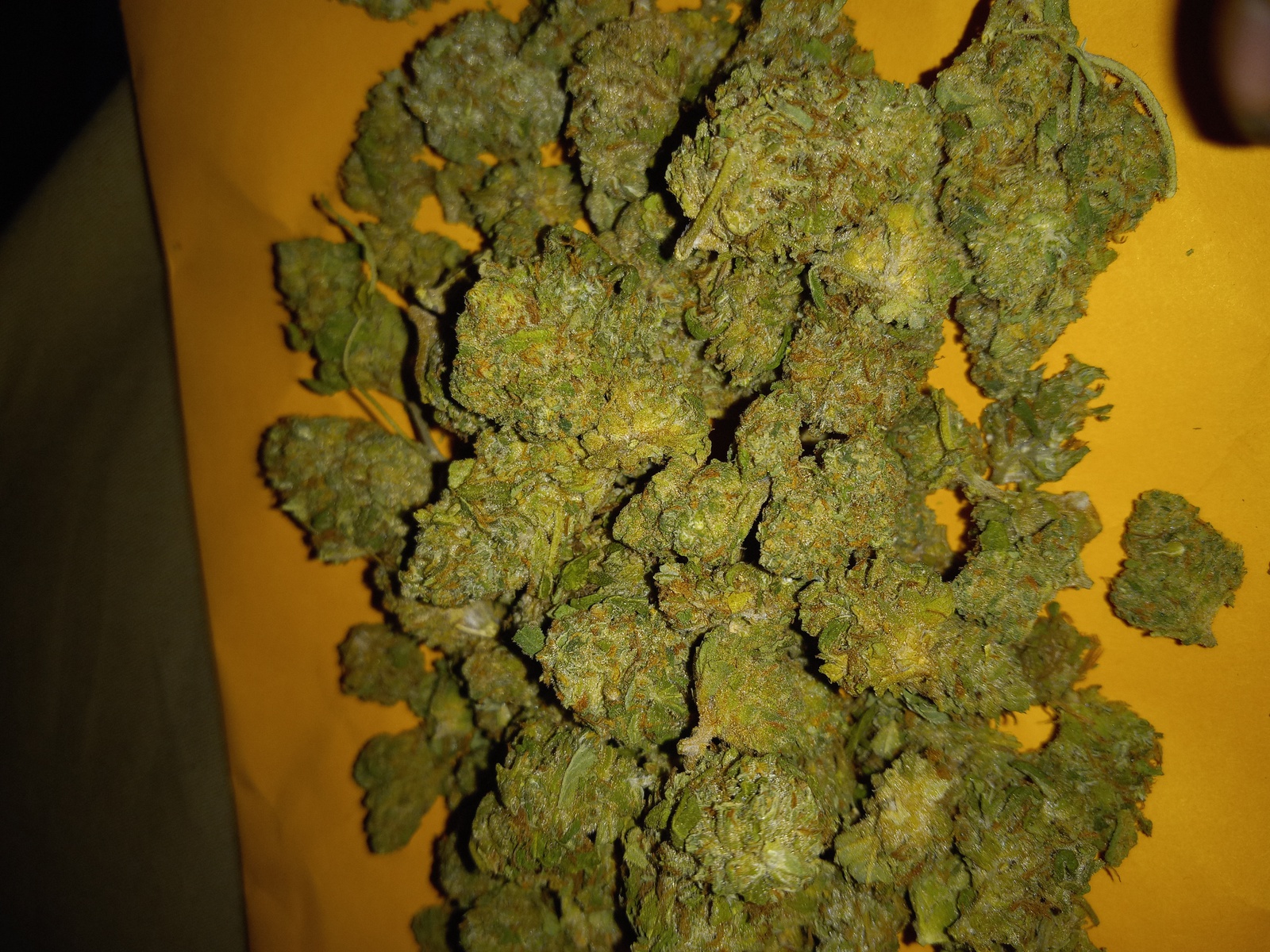 White Super Skunk Marijuana Strain Information & Reviews | AllBud