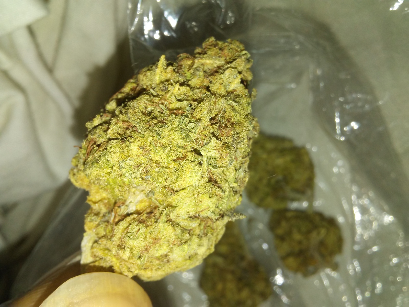 White Tahoe Cookies Marijuana Strain Information & Reviews AllBud