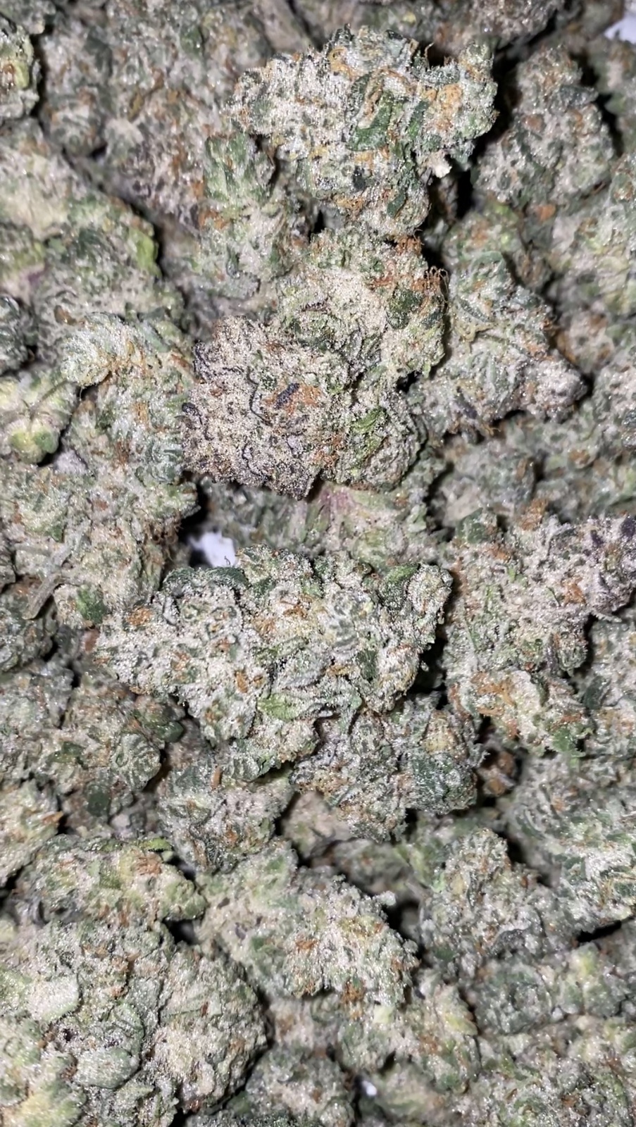 Wonka Bars Marijuana Strain Information & Reviews AllBud