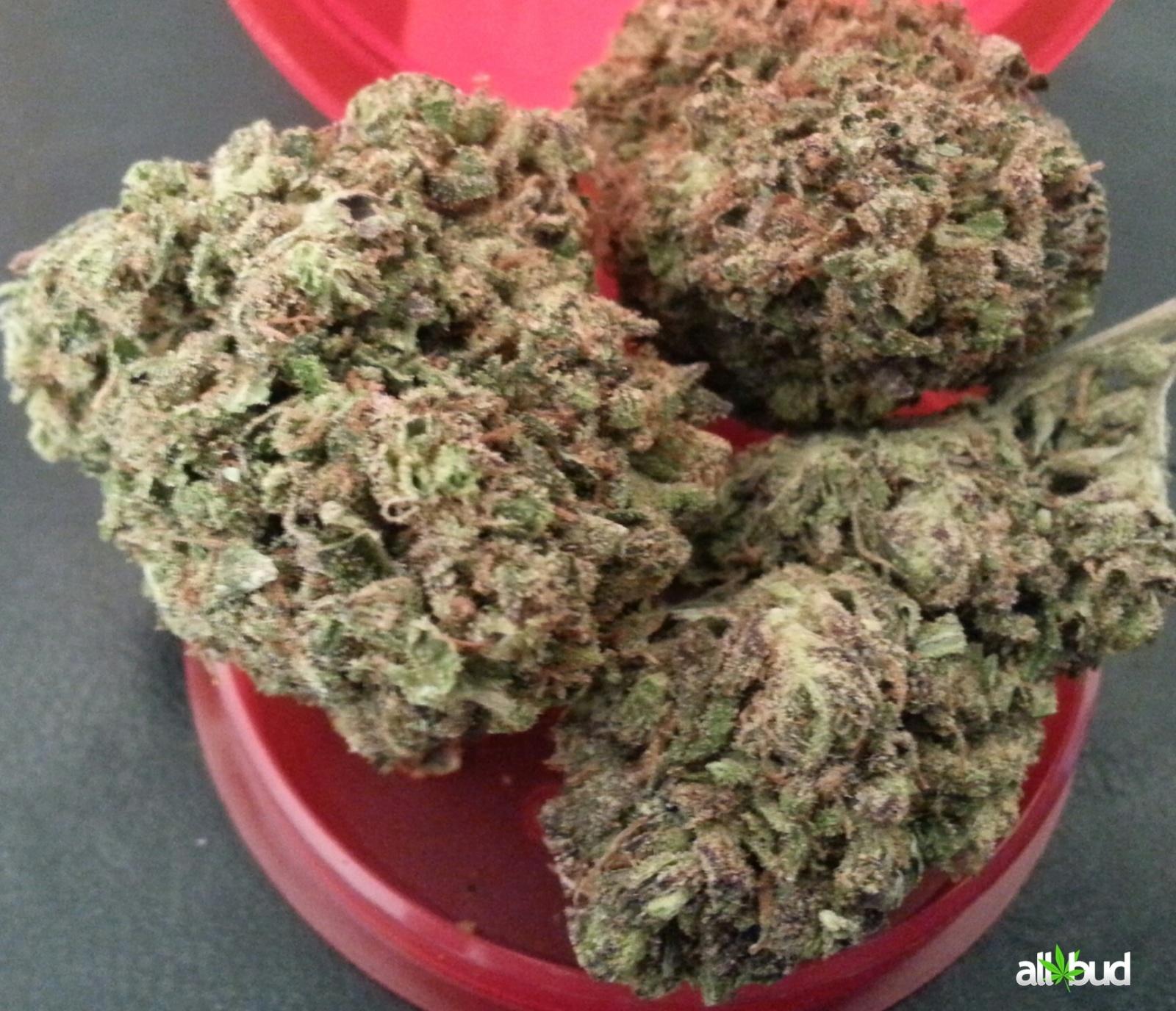 an argument in favor of the legalization of medicinal marijuana Social issues, medicinal properties - an argument in favor of legalizing marijuana. an argument in favor of the legalization of medicinal marijuana Social issues, medicinal properties - an argument in favor of legalizing marijuana.