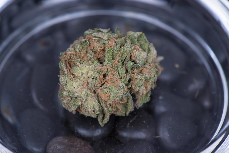 Blue Dream The History of the Most Popular Cannabis Strain AllBud